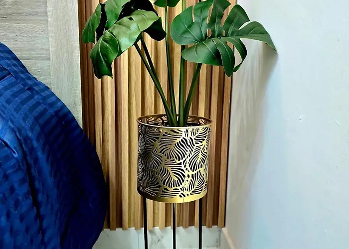 Marble Coast Daire *