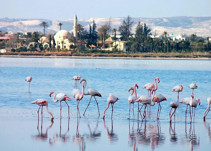 Marble Coast 아파트 *