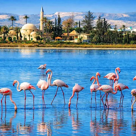 아파트 Marble Coast *