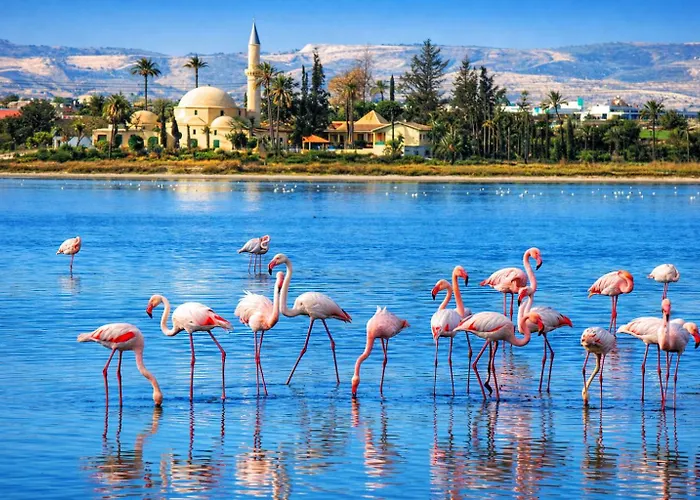 아파트 Marble Coast *